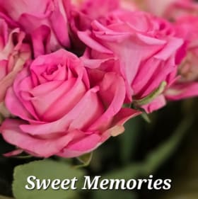 Sweet Memories Half Dozen Roses item