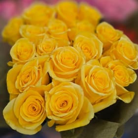 Yellow Single Rose item