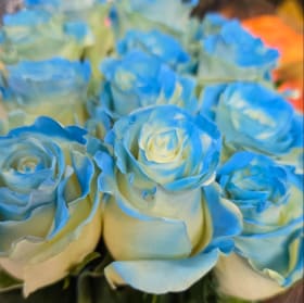 Light Blue Half Dozen Roses item