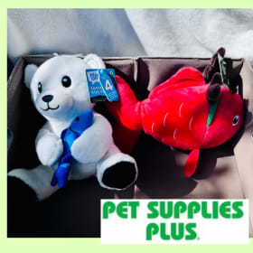 Dog Basket of Fishy Goodness item