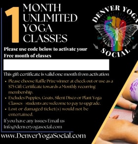 Allows us to give 1 month of regular yoga classes for 5 ppl item