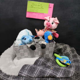 Item #7: Fun Fur Pets Doggie Basket item