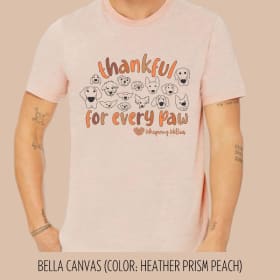Thankful “Heather Prism Peach” T-Shirt Size: MEDIUM item