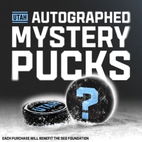 Mystery Puck Purchase item
