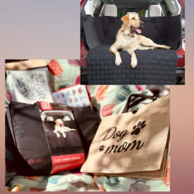 Dog Mom Essentials Bundle item