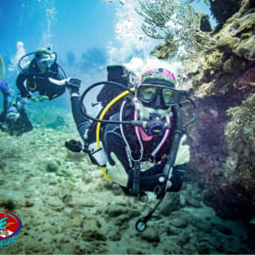 Elite Diving Adventures - Ten-Dive Package item