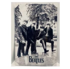 Beatles " In the Park" Memorabilia Package item