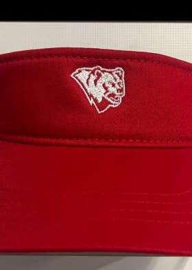 2024 Visor item