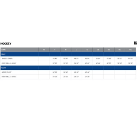 Blank Tron Hockey Jersey item