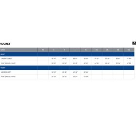 Customized Tron Hockey Jersey item