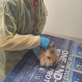 Magellan's vaccination item