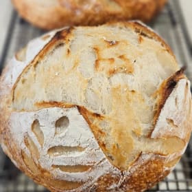 Sourdough Loaf of the Week (1 loaf/week/5 weeks) (1/2) item