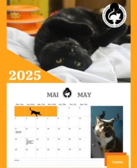 Calendrier de table / Desk calendar item