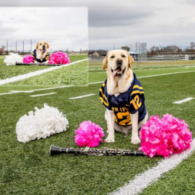 SEL Dog Calendar item