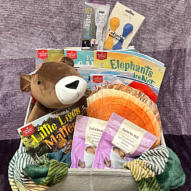 Brave Books Read and Cuddle Kit item