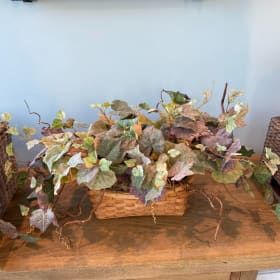 English Ivy plant in a basket item
