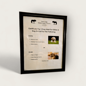 Eskeridge Veterinary Exam & Vaccines Cert #1 item
