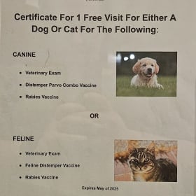 Eskeridge Veterinary Exam & Vaccines Cert #1 item