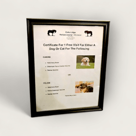 Eskeridge Veterinary Exam & Vaccines Cert #2 item