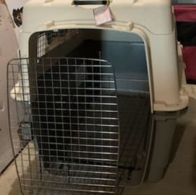 large plastic airline shipping kennel item