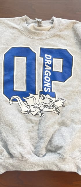 GRAY ADULT XLARGE-OP item