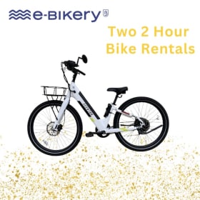 Bike Rental item