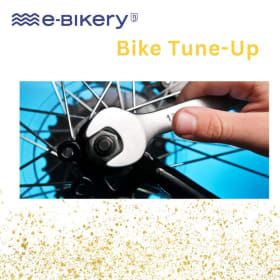 Bike Tune Up item