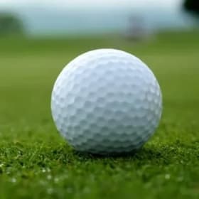 STANDARD HOLE SPONSOR item