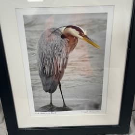 Heron on the Beach item
