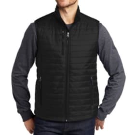 Valeo Man Down Vest ✨ Size Medium item