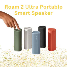 Sonos Portable Speaker item