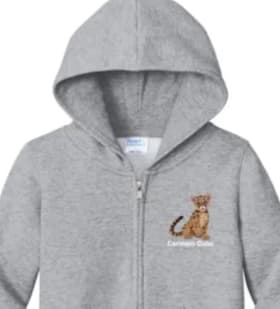 Toddler Zip-Up Hoodie - Grey 3T item