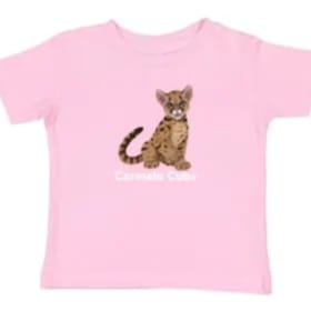 5/6T  Youth Basic Tee - Pink item