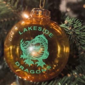 Lakeside Dragon Ornament item