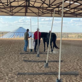 Sponsor Ariel in 2025! item