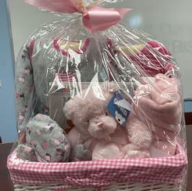 Baby Basket (Clothing, Book, Blanket, Stuffy) $100 Value. item