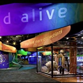 Field Trip - Discovery Place Science item