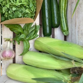 CSA - 20 Weeks *SMALL SHARE* item