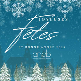 Carte de noël - Bleu item