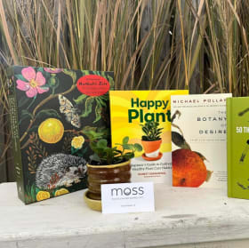 Coffee Beans & Plant Seeds item