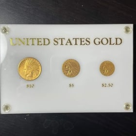 Family of eagles 3 gold coin set item