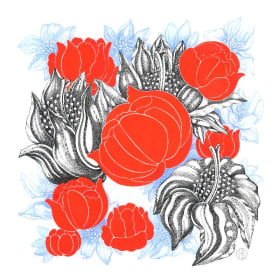 Bloom, giclee print, 12 x 12 inches item