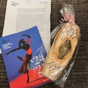 16. Ballet Slippers by First Soloist Chelsy Meiss V. ($150) item