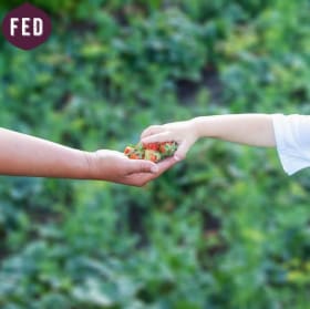 Feeding Families Campaign item