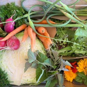 CSA - 20 Weeks *LARGE SHARE* item