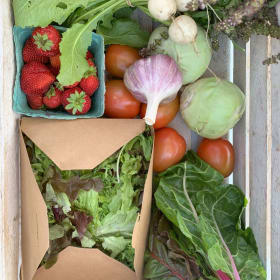 CSA - 20 Weeks *LARGE SHARE* item