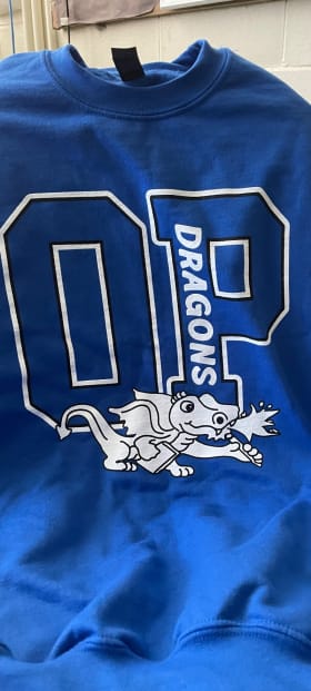 BLUE ADULT LARGE-OP item