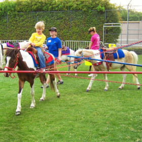 Pony Carousel Sponsor item