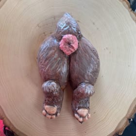 Faux Taxidermy Animal Anus Art - Offer 1 item