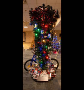 Tree 24-001 - "An "Upside Down" Tree" item